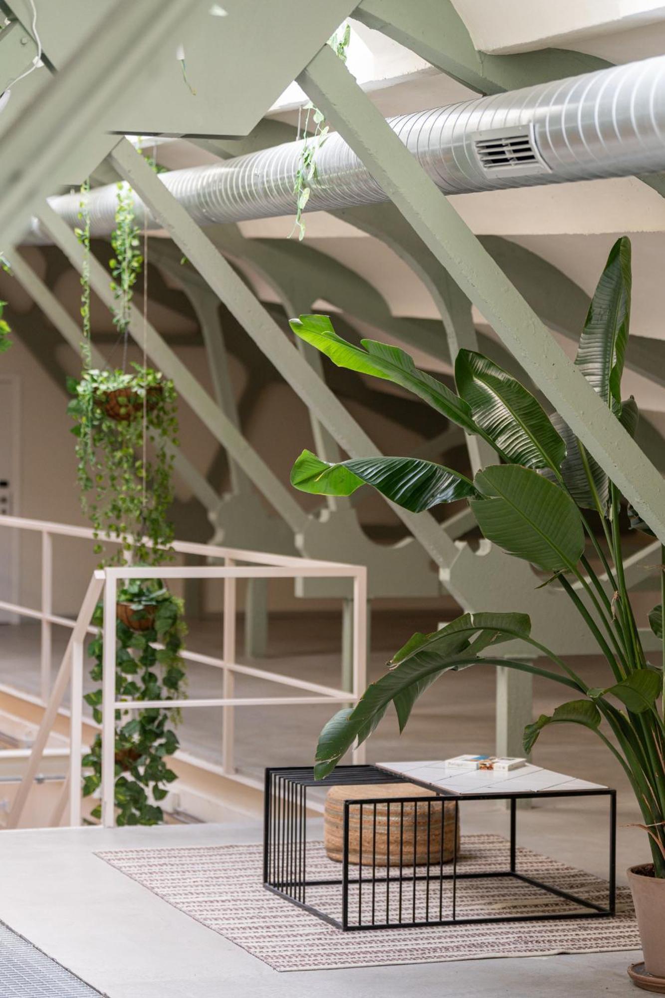 Ola Living Hostal Tetuan Madrid Eksteriør billede